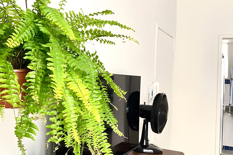 Kitnet na rua da UFV com SMART TV e Garagem