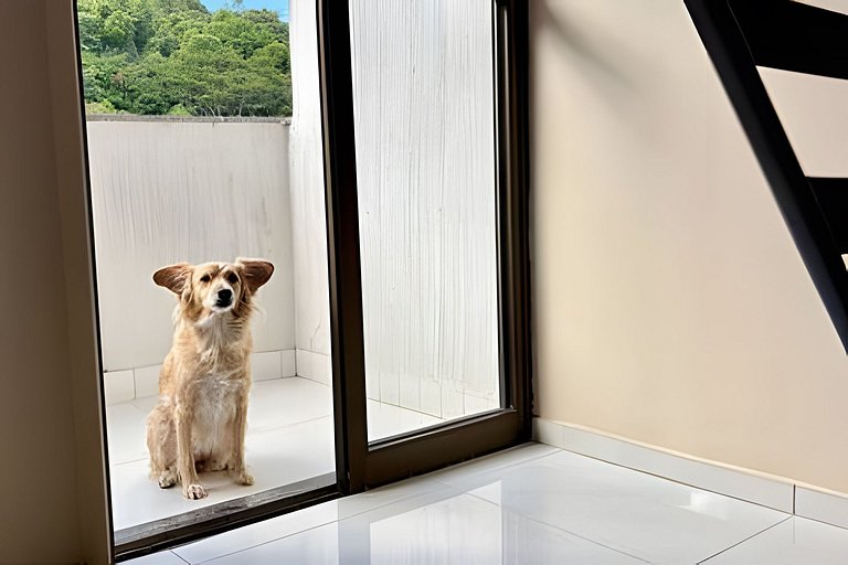 600m UFV / 100m Rodoviária