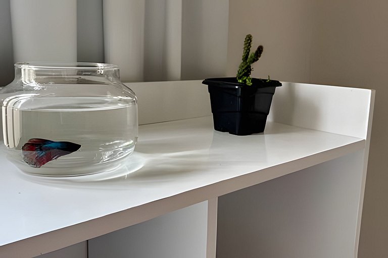 800m da UFV/ 100m da rodoviária