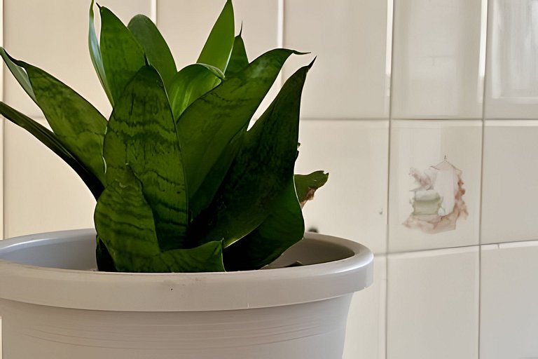 800m da UFV/ 100m da rodoviária