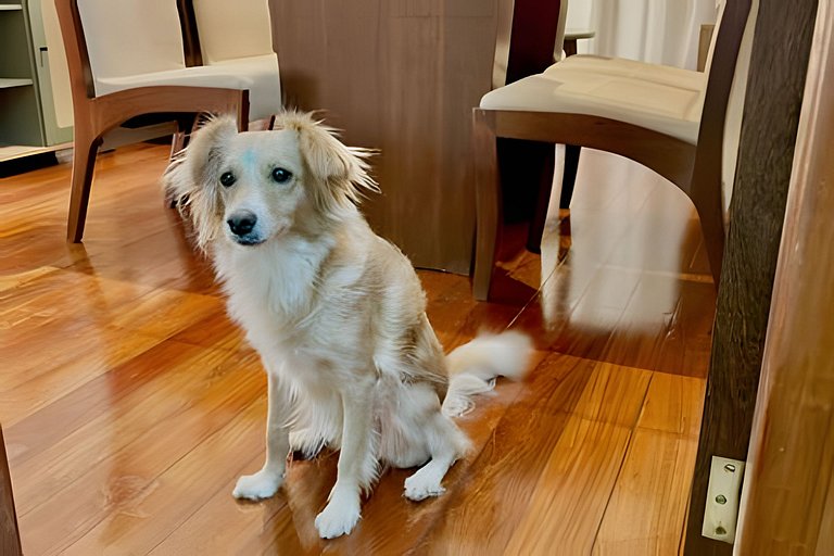 100m da rodoviária/800m da UFV