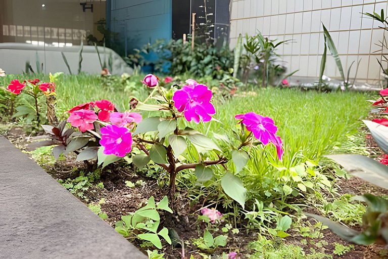 100m da rodoviária/800m da UFV