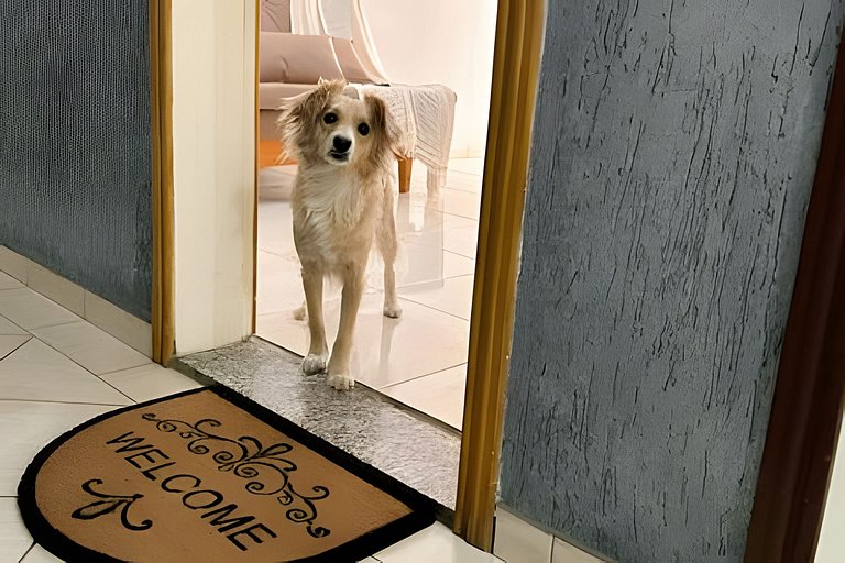 Varanda, TV 50, elevador, no Centro + garagem paga